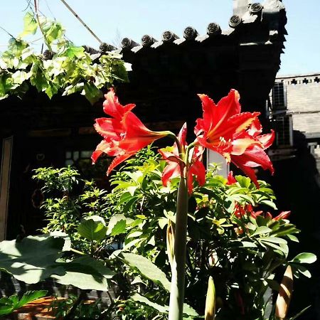 Pingyao Tian Yi Hostel Ngoại thất bức ảnh