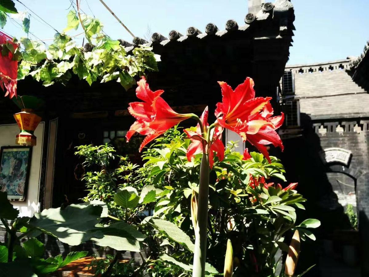 Pingyao Tian Yi Hostel Ngoại thất bức ảnh